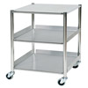 Surgical Trolley - 1 Stainless Steel Shelf & 2 Trays - Length 660mm style=