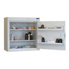 Controlled Drug Cabinet 108 Litre with 2 shelves/2 trays, one door