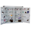 Medicine Cabinet 255 Litre 8 shelves & 8 door trays, two doors